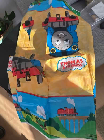 Photo of free Party table cover (N14 4TP oakwood) #1