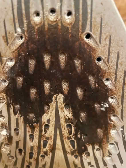 Photo of free Steam Iron with damaged soleplate (Orpington, BR6) #2