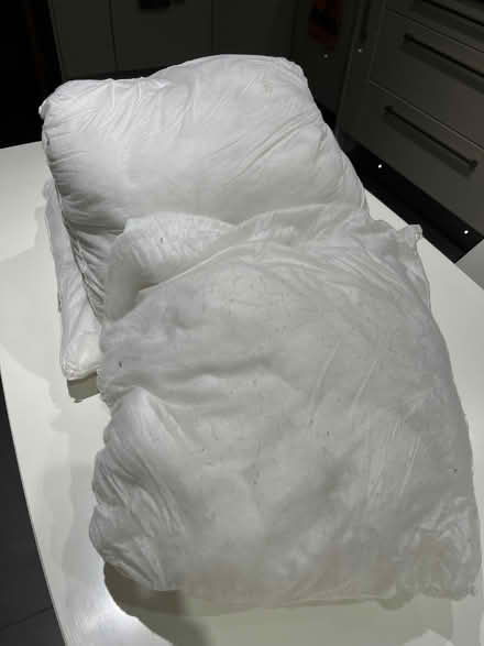 Photo of free Cushion inserts x 3 (Binfield RG42) #1