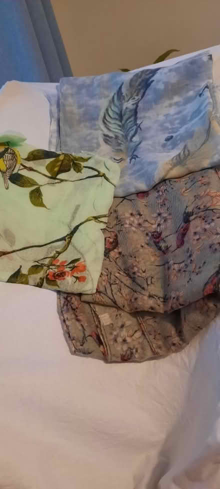 Photo of free 3 x scarves (Hereford, Belmont) #1