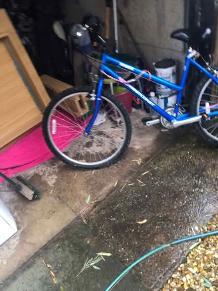 Photo of free Ladies Bicycle (Great Sutton CH66) #2