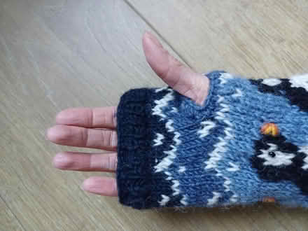 Photo of free Hat and fingerless mitt (Sale M33) #2