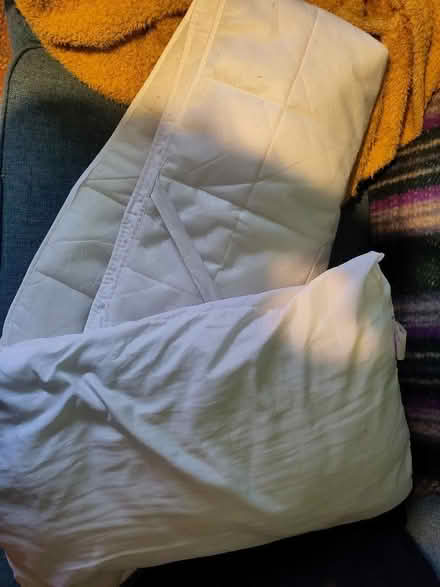 Photo of free Pillow + mattress protector (Falkirk FK1) #1