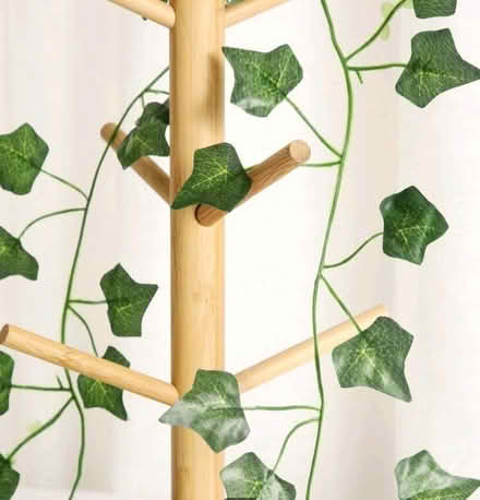 Photo of Fake vines (Stevenage SG1) #1