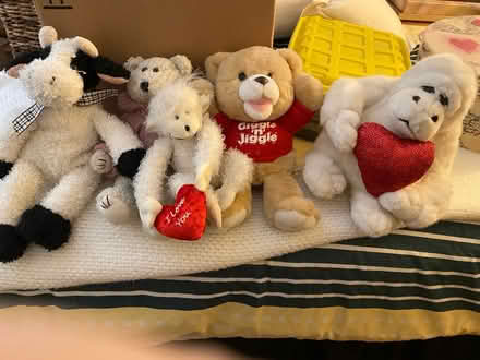 Photo of free Stuffed animals (Sun City) #1