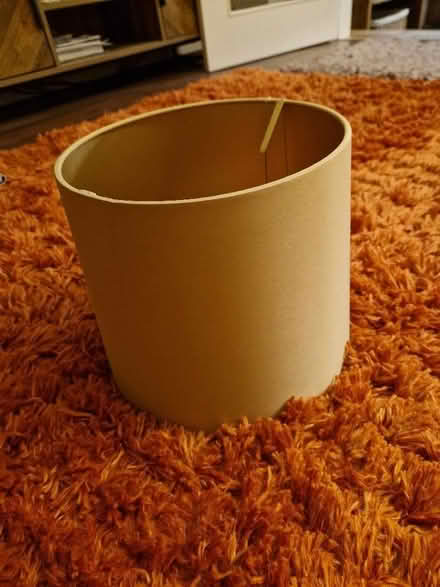 Photo of free Lamp Shade (Loughton IG10) #3