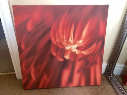 Photo of free Various wall art / pictures (Lostock Hall PR5) #4