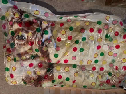 Photo of free Warm blanket (Sw20) #1