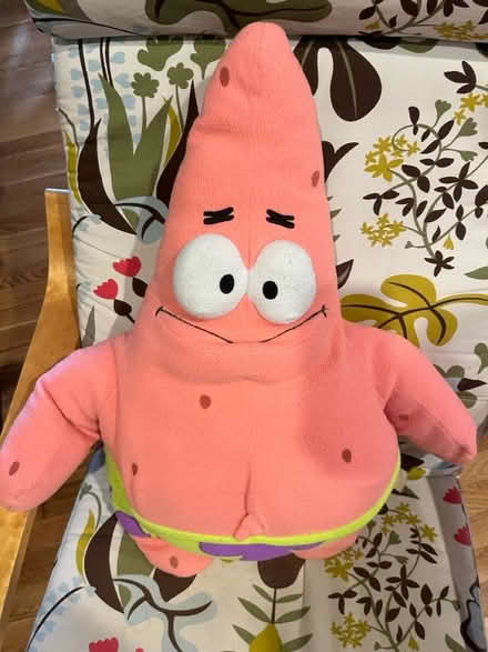 Photo of free Stuffed Patrick Star (SpongeBob) (Chinquapin Park) #2