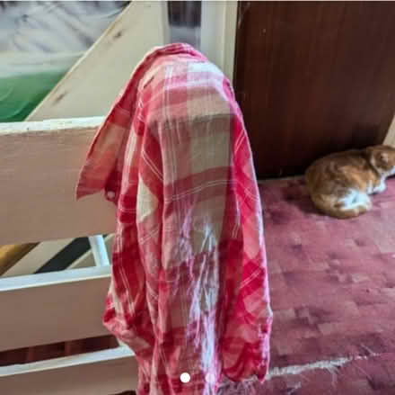 Photo of free Bits and bobs (Broadfield Crawley RH11) #1