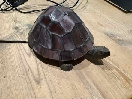 Photo of free Lamp - Tortoise 🐢 (TW10) #1