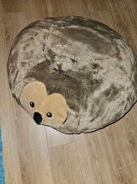 Photo of free Ikea floor inflatable hedgehog (South Norwood SE25) #1