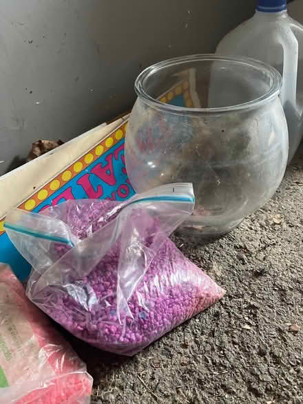 Photo of free Reptile, crab, fish tanks (Woodstock) #3