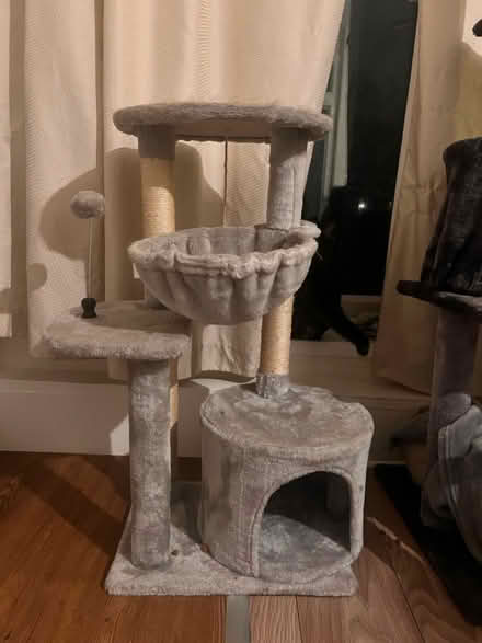Photo of free cat toy (CR7) #2