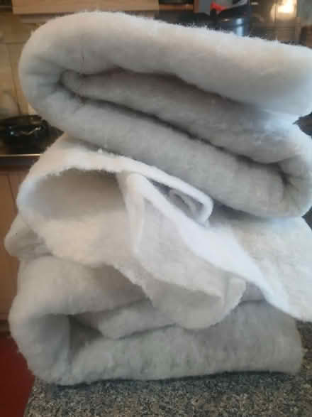 Photo of free Curtain liners (BN1) #2