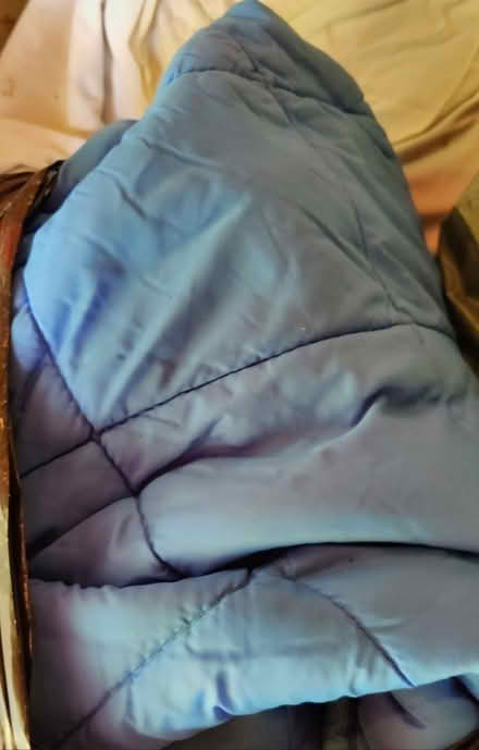 Photo of free Sleeping bags vintage (Holmbury St Mary, RH5 6) #1