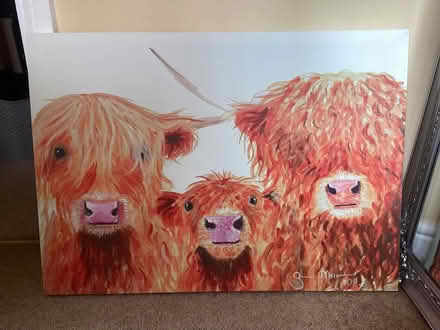 Photo of free Various wall art / pictures (Lostock Hall PR5) #1
