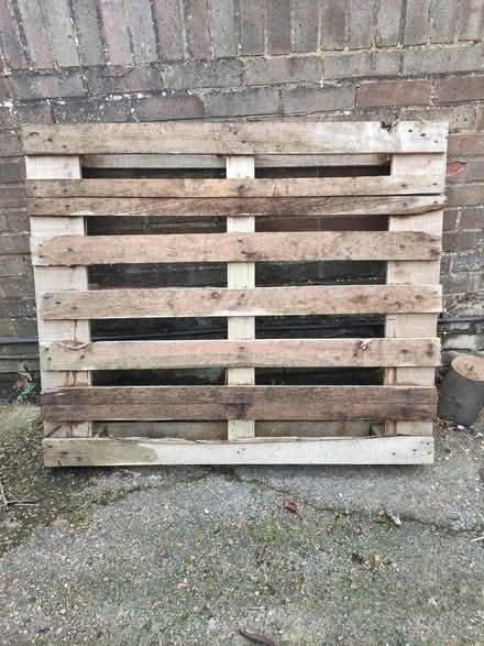 Photo of free Wooden pallet (Patcham) #1