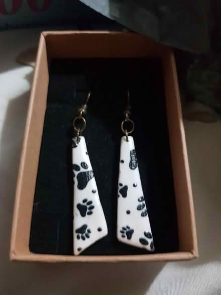 Photo of free Dangly earrings brand new in box (Seaside BN22) #1