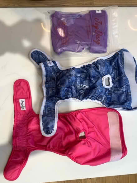 Photo of free Three washable dog nappies (Shipbourne TN11) #1