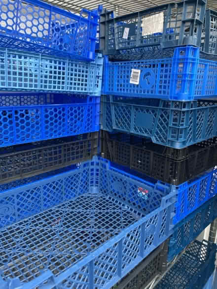 Photo of free Mushroom Trays (CM3) #1