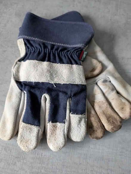 Photo of free Gardening/work gloves (Fareham PO15 5) #1
