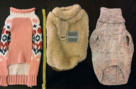 Photo of free Warm coats for a small dog (Old Malden KT4) #2