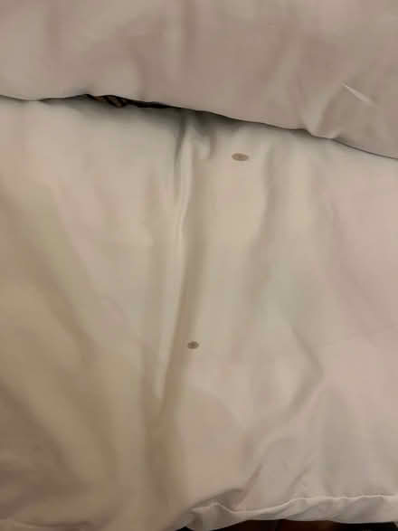 Photo of free 4 x soft pillows from Silent Night (Woodlands TW7) #2