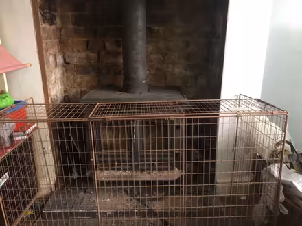 Photo of free Extendable fire guard (Latchford WA4) #2