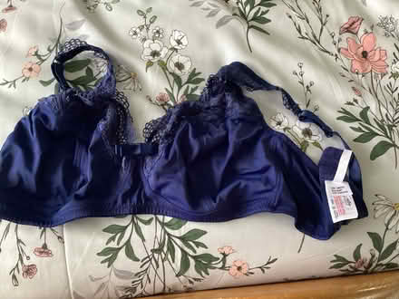 Photo of free Knickers.Bra.Beige knickers (Fords Farm RG30) #2