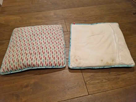 Photo of free 2 matching cushions (Bear Flat) #1