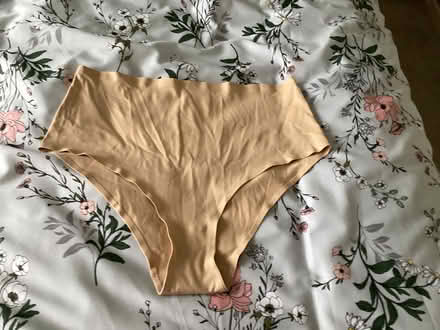 Photo of free Knickers.Bra.Beige knickers (Fords Farm RG30) #3