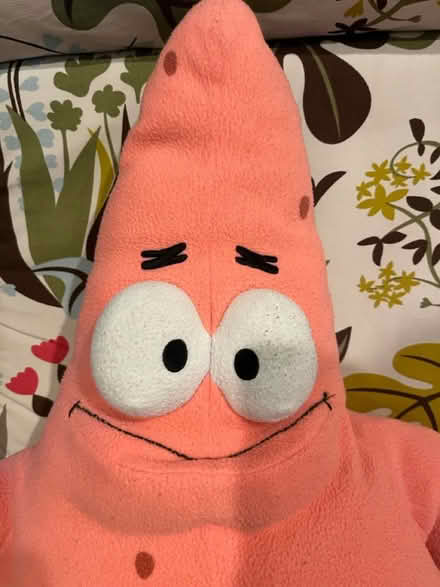 Photo of free Stuffed Patrick Star (SpongeBob) (Chinquapin Park) #1