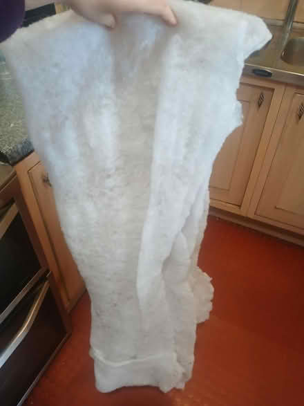 Photo of free Curtain liners (BN1) #1