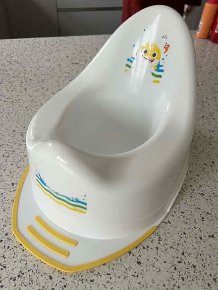 Photo of free Childs Potty (Mill Green AL7) #2