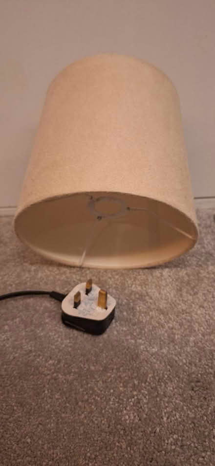 Photo of free Lampshade (E17 Queens/Boundary Road) #1