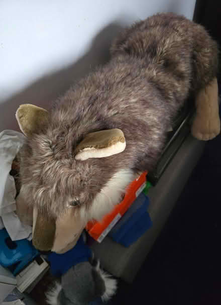 Photo of free Soft toy (Oxford OX4) #1