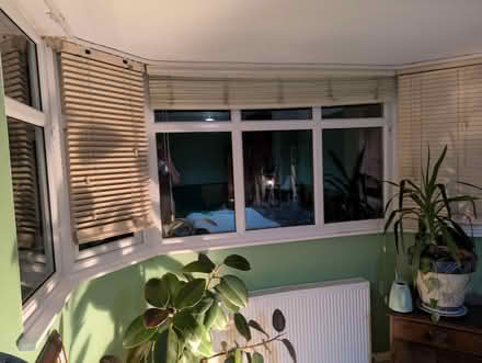 Photo of free Wooden Blinds (Chapeltown LS7) #1