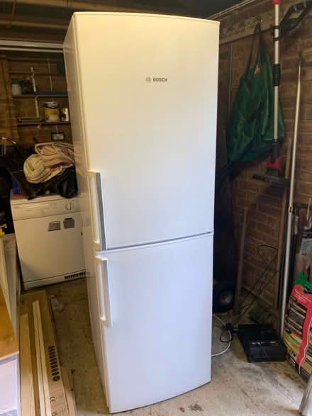 Photo of free Bosch Fridge Freezer (Shipbourne TN11) #1