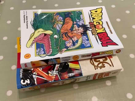 Photo of free 2 manga books (Didcot OX11) #1