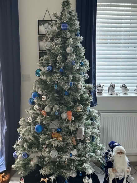 Photo of free 7ft fit tree (Boughton Monchelsea ME17) #1