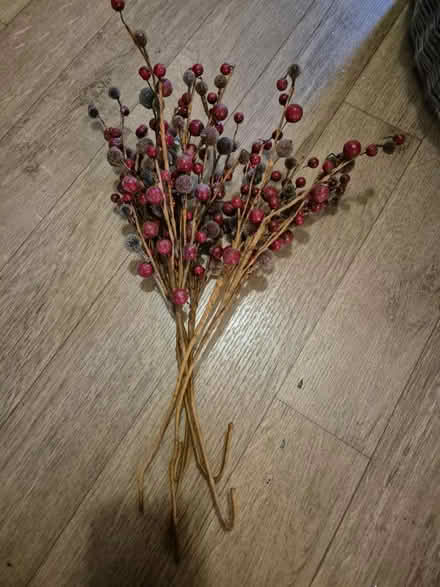 Photo of free Bunch of berries (BR8) #1