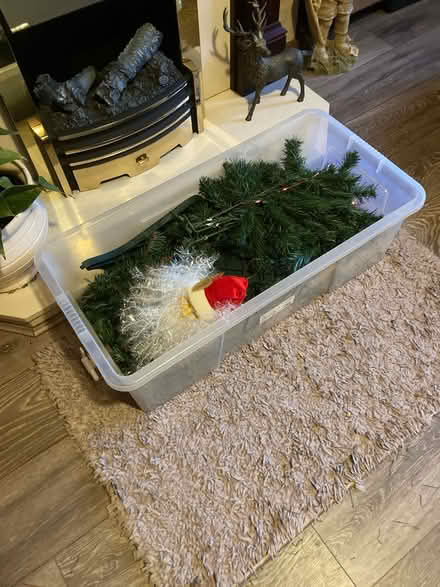 Photo of free 5’ Christmas Tree (Mansfield Woodhouse NG19) #4