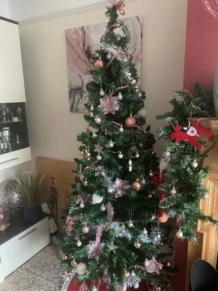 Photo of free Slimline Christmas tree 6 ft (B93 Bentley Heath) #3