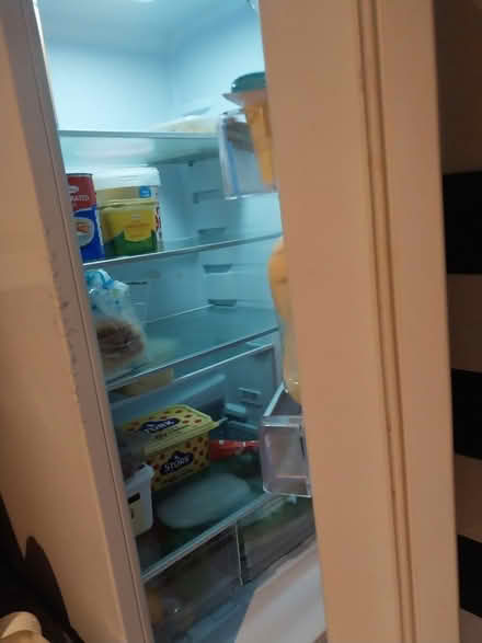 Photo of free Fridge freezer (West Thamesmead) #1