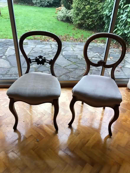 Photo of free Dining chairs (Emsworth PO10) #1