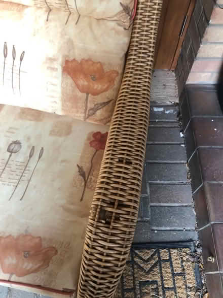 Photo of free Conservatory chairs (Faringdon SN7) #2