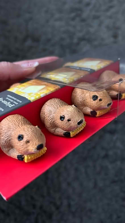 Photo of free Sweetcorn skewers (WR2) #1