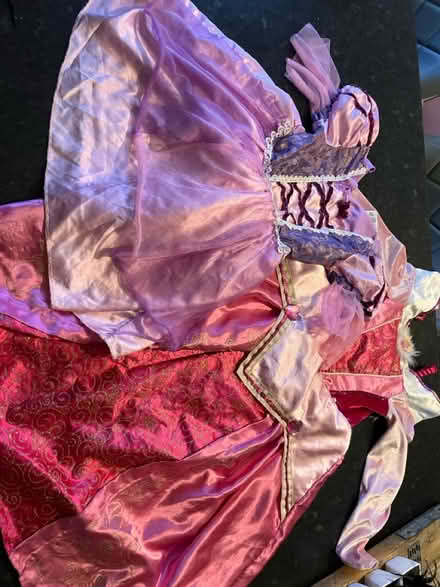 Photo of free Aged 3-7 princess dresses x 2 (Colwick, NG4) #1