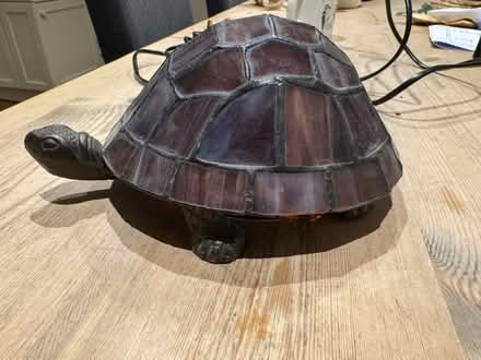 Photo of free Lamp - Tortoise 🐢 (TW10) #2